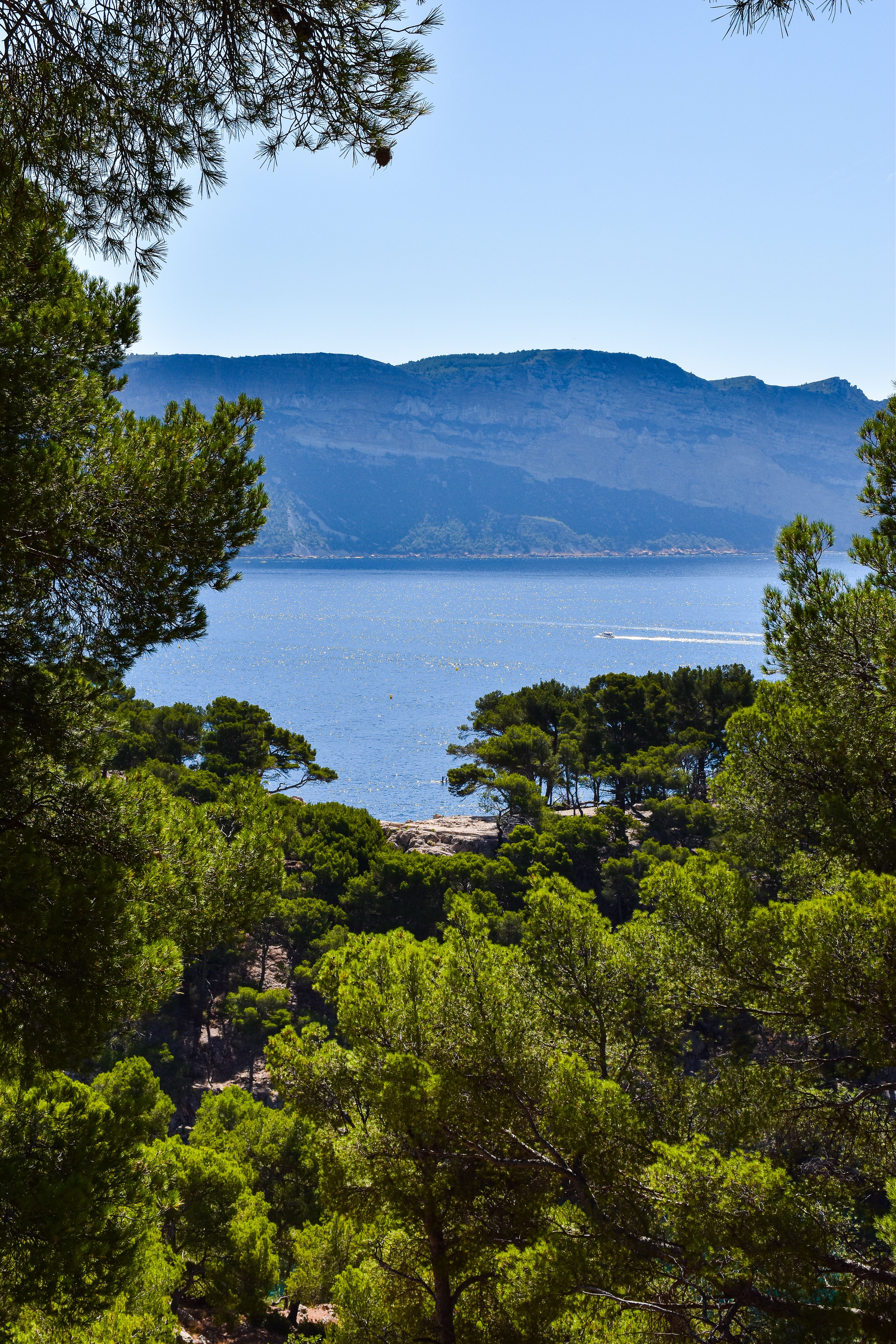 Couverture : Why live in Cassis: seven timeless reasons