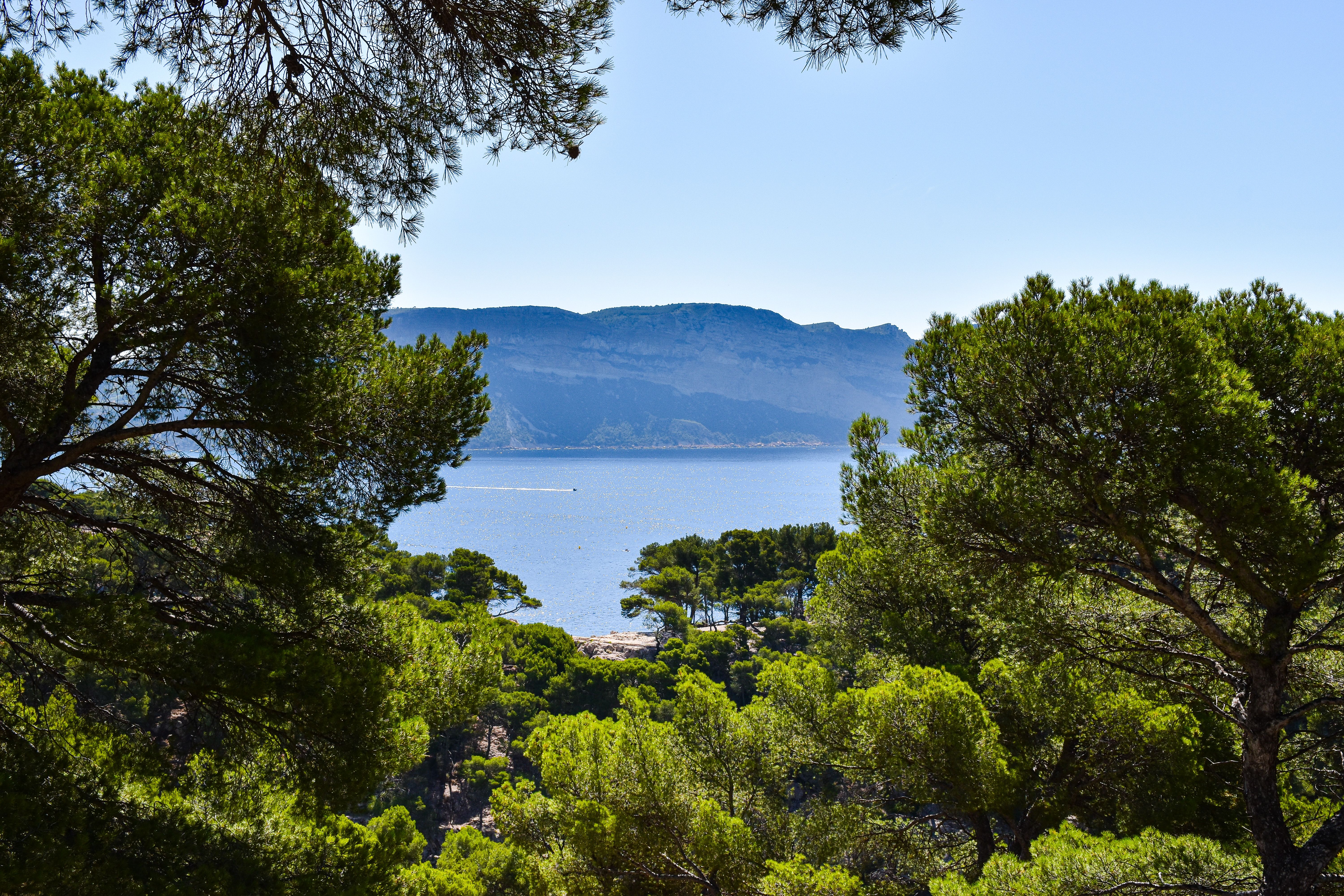 5 Day Come Back to Life: A Burnout Recovery Retreat in Ibiza 1