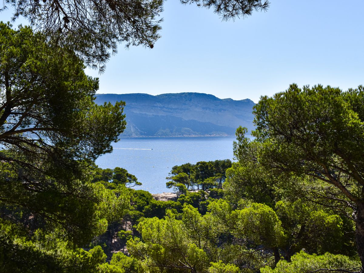 5 Day Come Back to Life: A Burnout Recovery Retreat in Ibiza 1