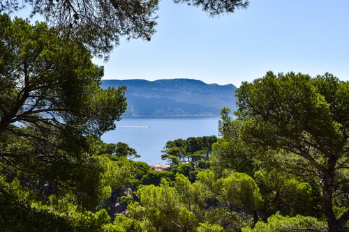 Free Breathtaking view of the Calanques in Provence-Alpes-Côte d'Azur, France with lush greenery and blue Mediterranean Sea. Stock Photo