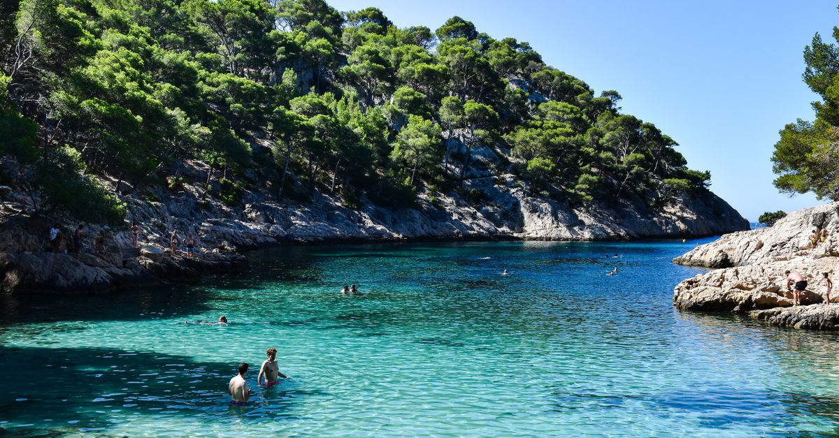 Turquoise Mediterranean cove on the Cote d'Azur with pine-clad cliffs
