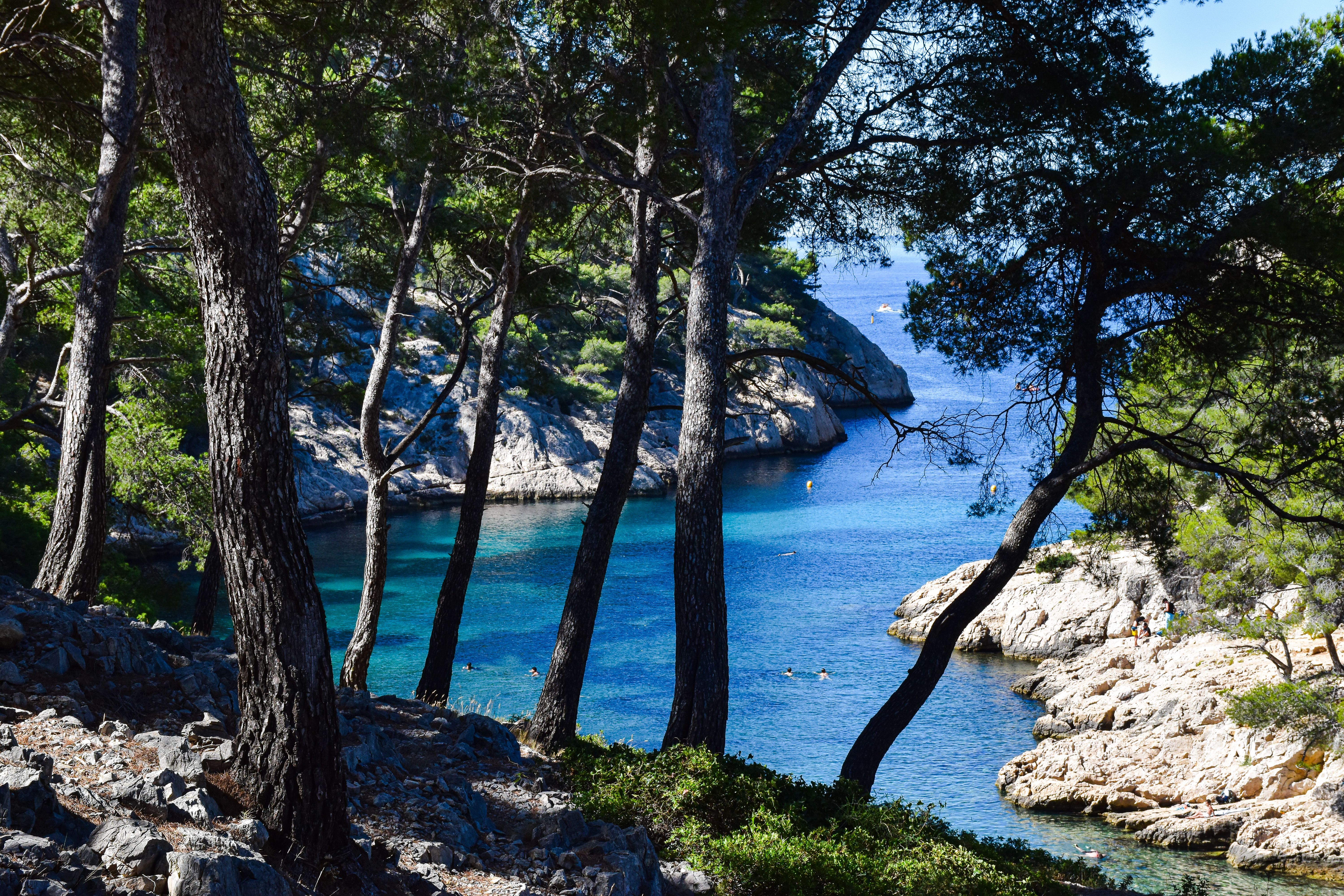 Scenic View of Calanques in Provence, France · Free Stock Photo