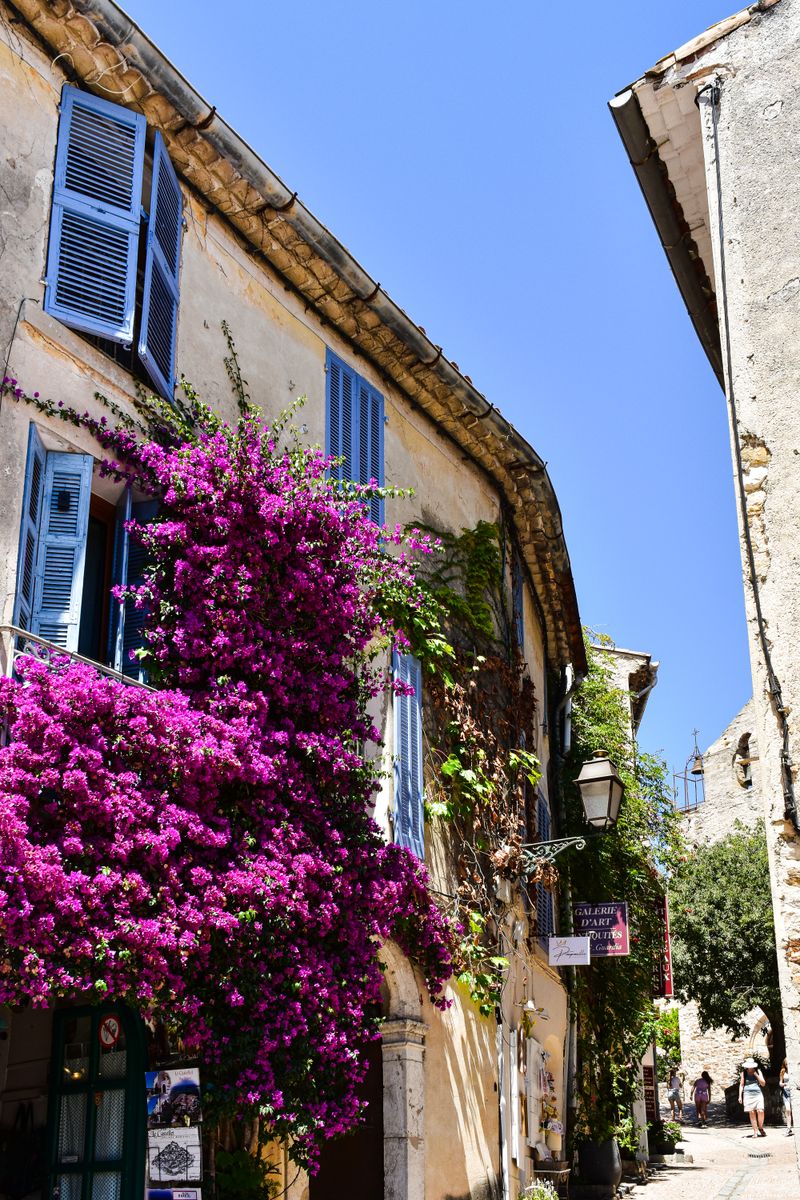 Provence