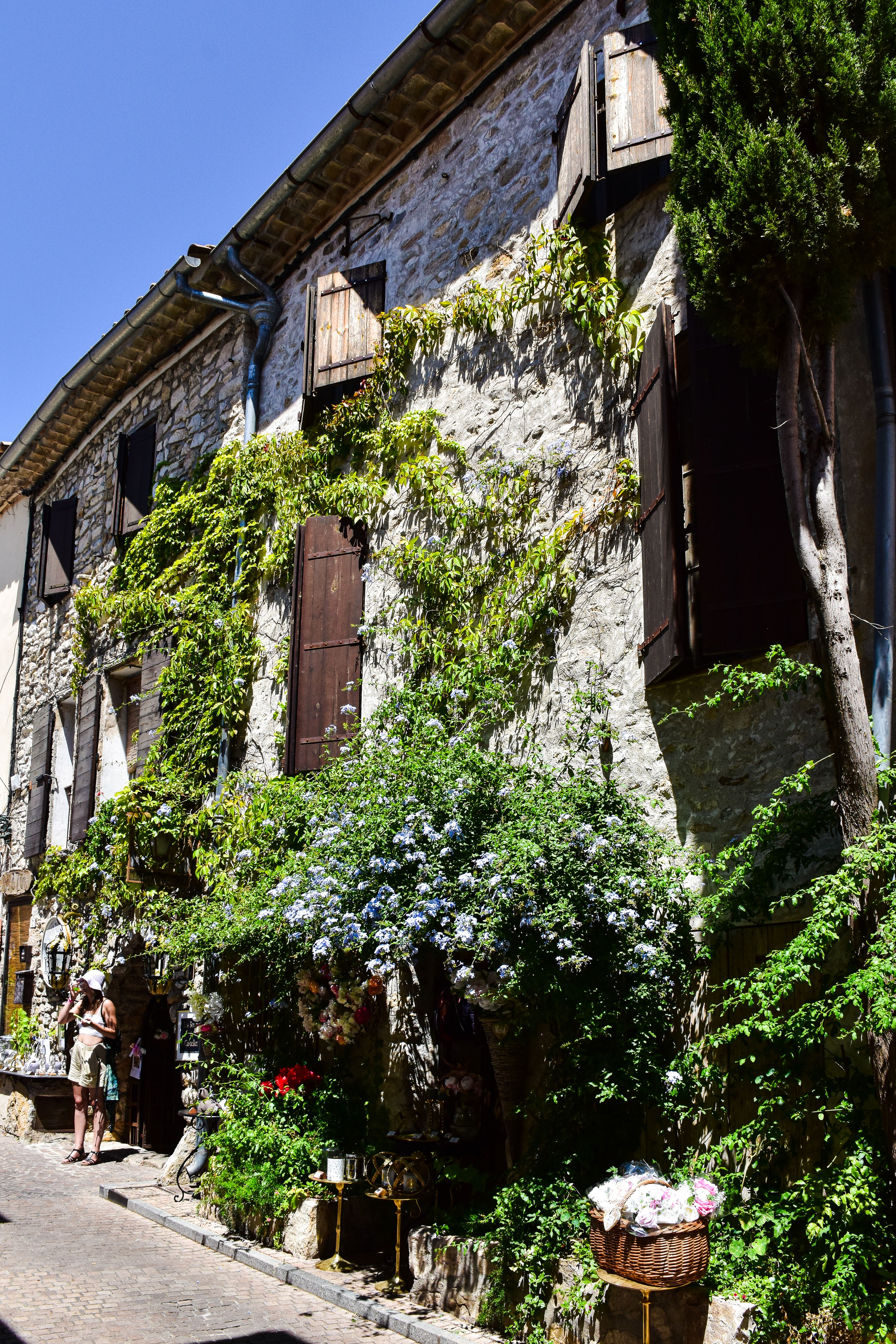 Charming Stone House Covered in Lush Greenery · Free Stock Photo