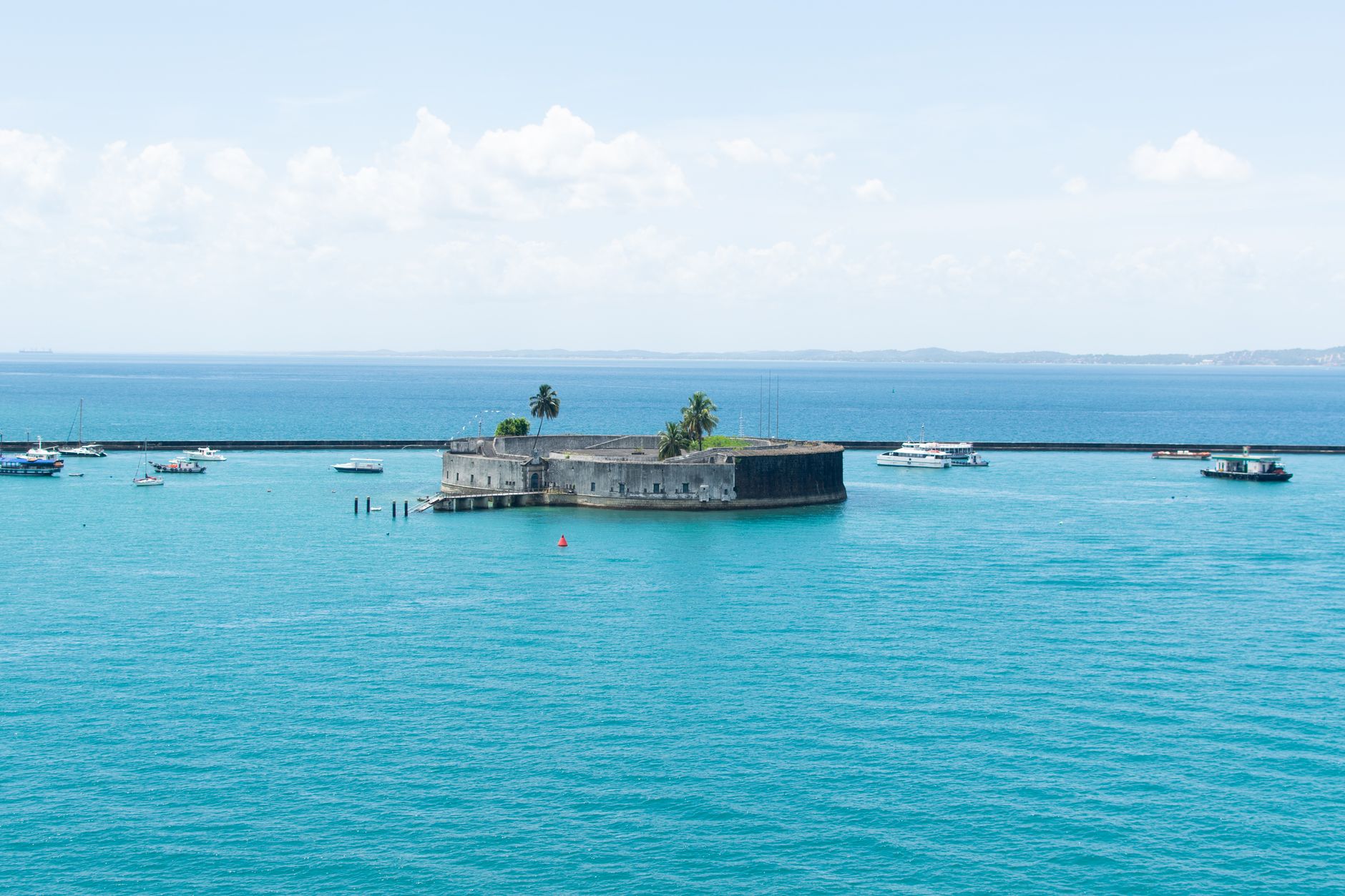 marcelo araujo