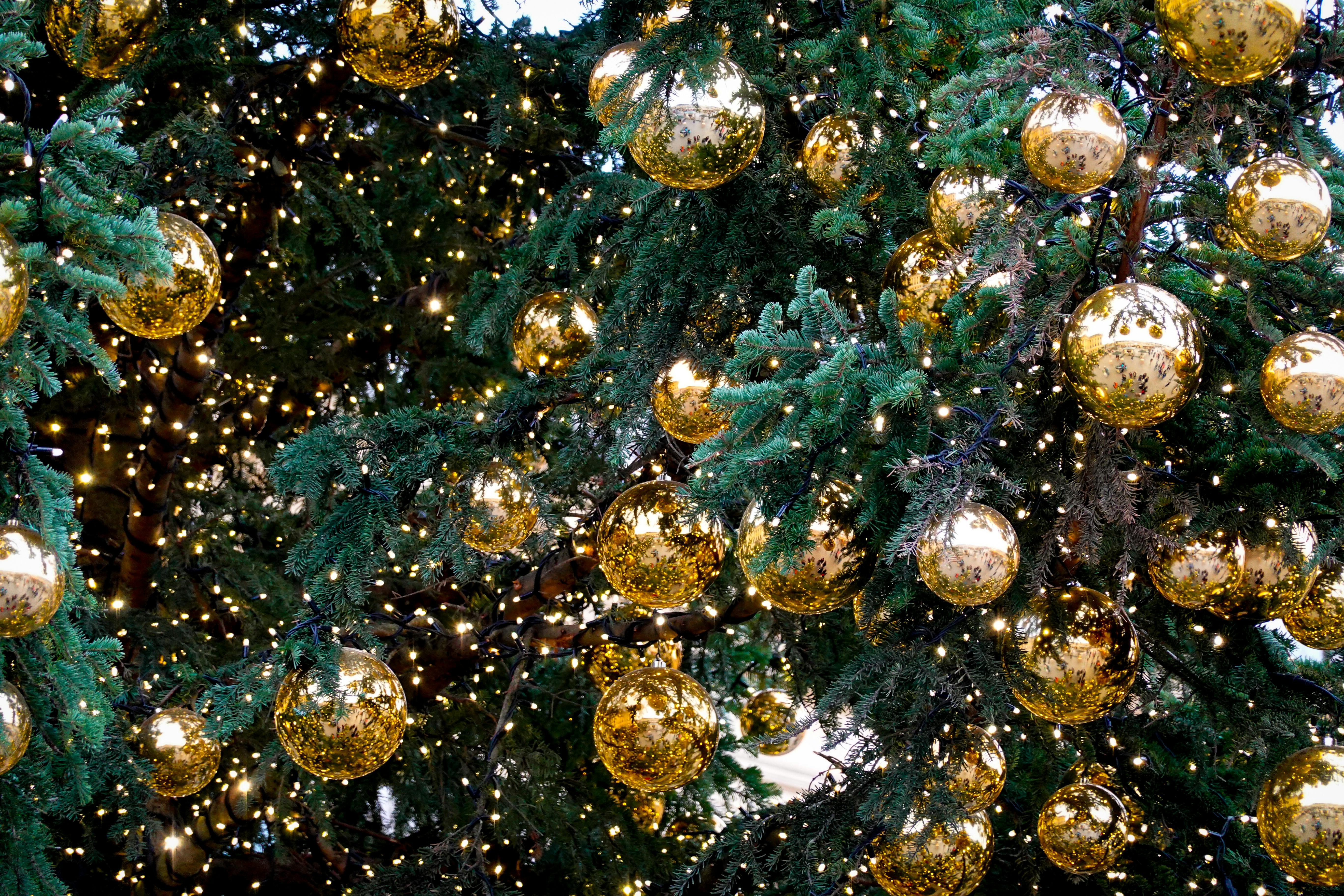 elegant christmas tree with golden ornaments