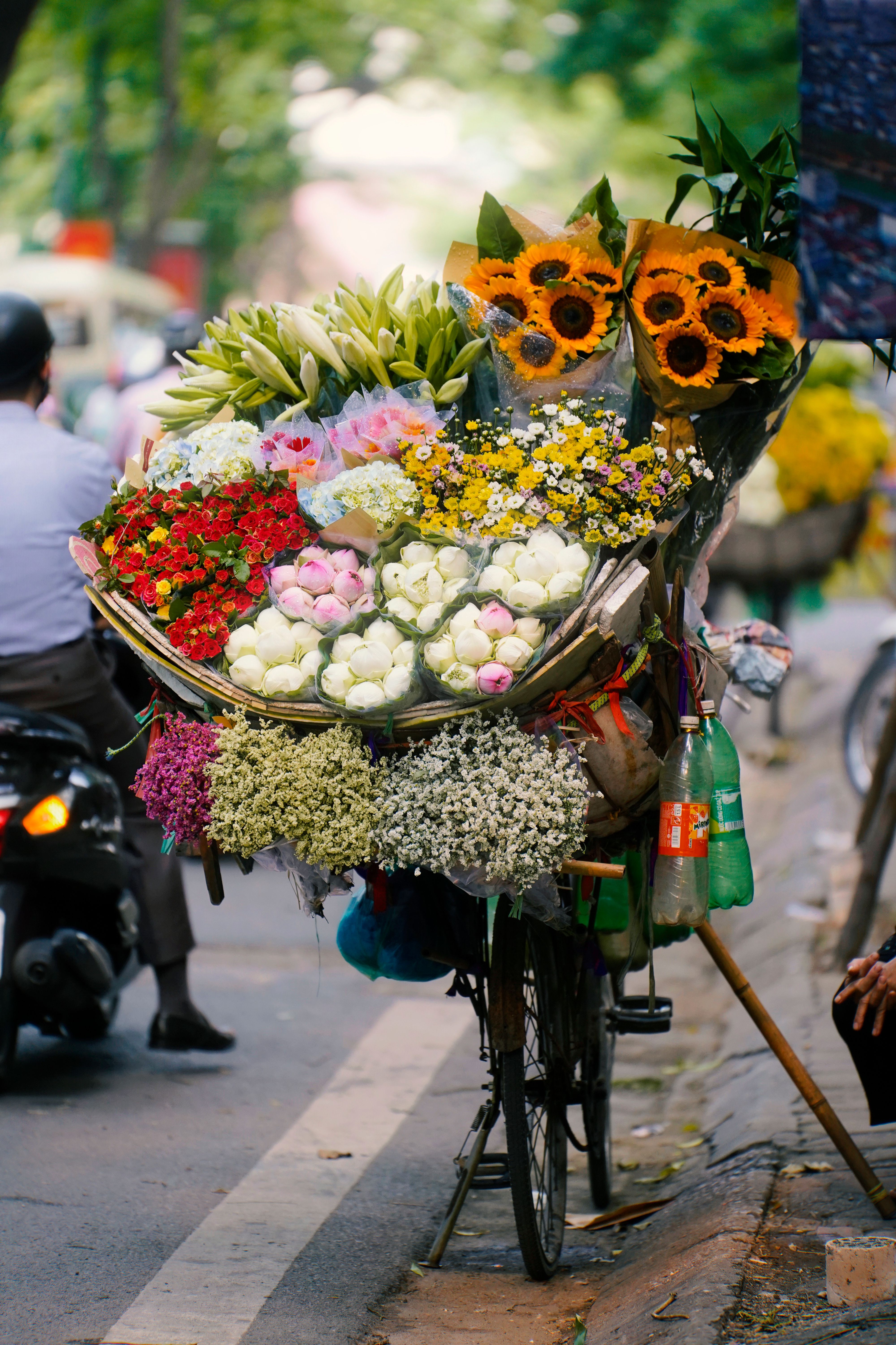 Hoa Sinh Nhật Vũng Tàu: Mẫu Đẹp, Giao Tận Nơi