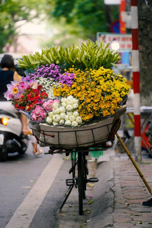 Kleurrijke Bloemenfiets In Hanoi, Vietnam · Gratis stockfoto