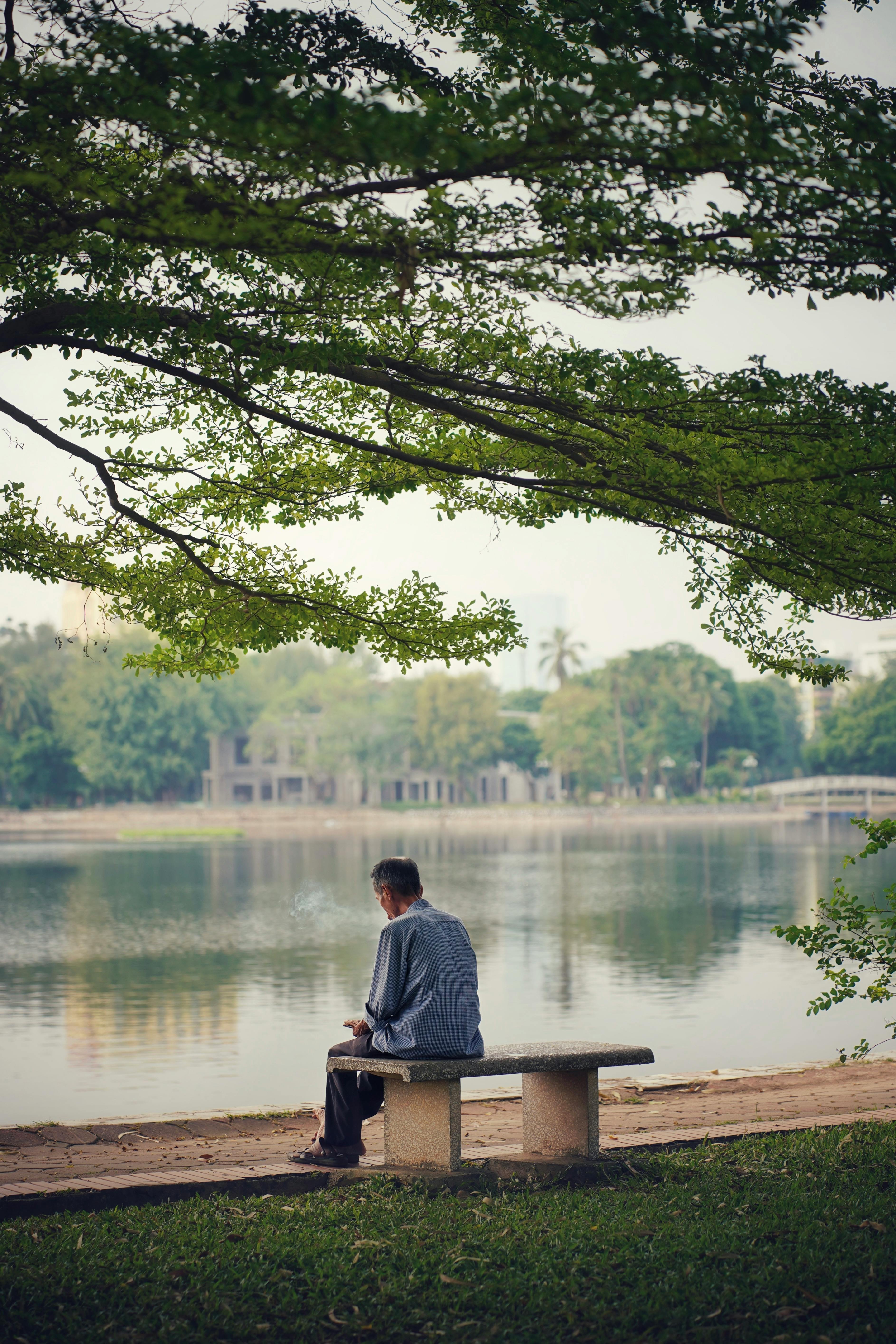 Miễn ph&iacute; Cảnh tượng thanh b&igrave;nh của một người đang tận hưởng sự tĩnh lặng b&ecirc;n hồ trong một c&ocirc;ng vi&ecirc;n ở H&agrave; Nội. Ảnh lưu trữ