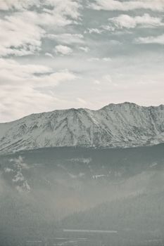 Snow-covered peaks and misty forests create a serene landscape in Zakopane, Poland.