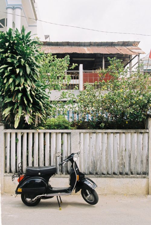 Free Classic black scooter parked in front of a lush garden in Long Xuyên, Vietnam. Stock Photo