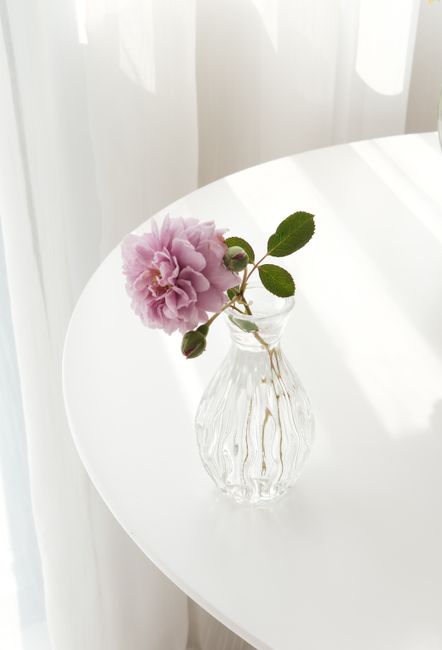 Elegant purple flower in a glass vase on a round white table, casting soft shadows.