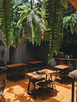 Bright café setting with lush greenery and natural light filtering through.