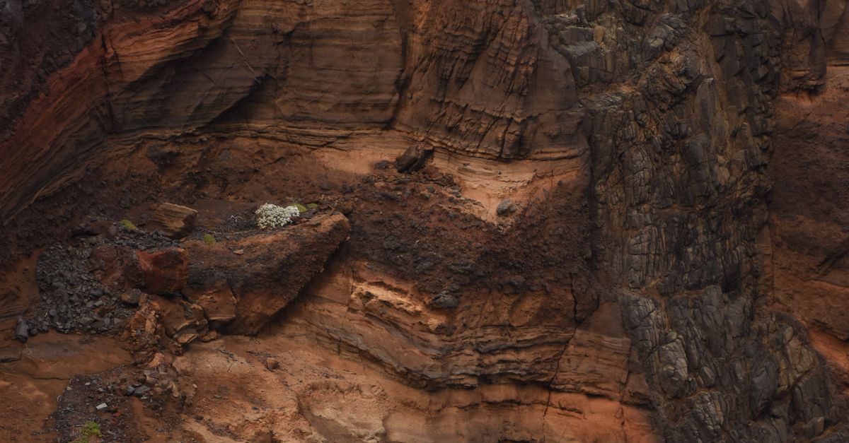 Earthtone Rocks Layered Rock Formation with Rich Earth Tones · Free Stock Photo