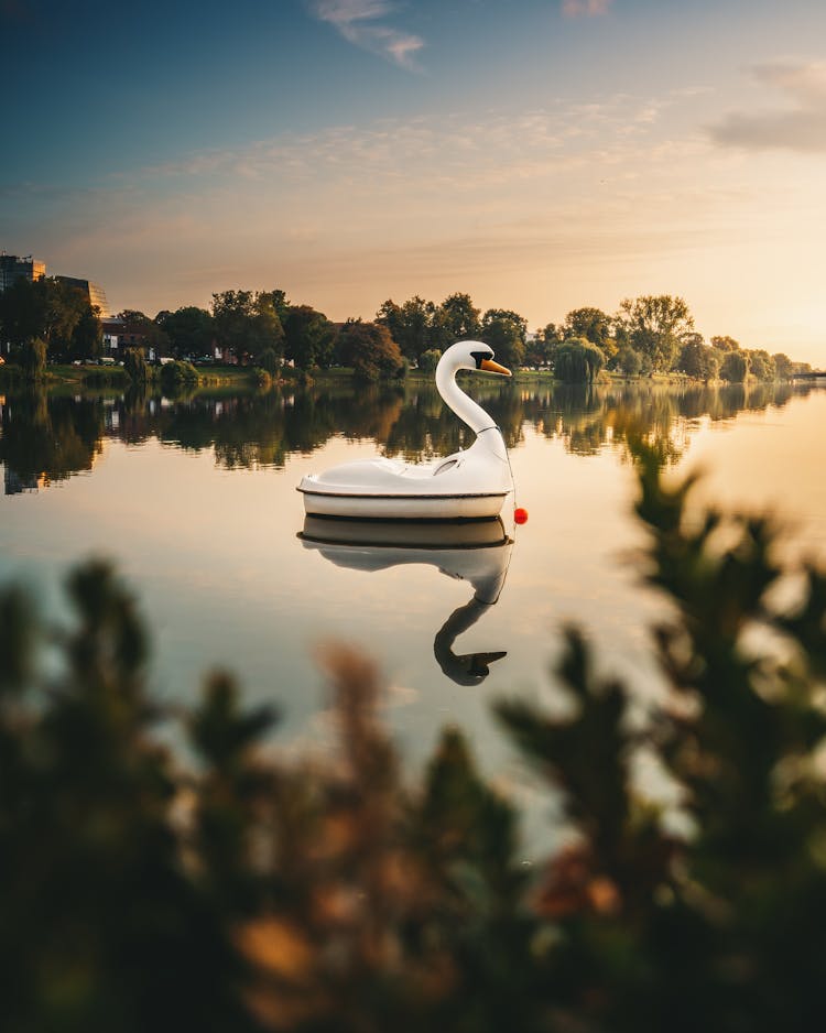 Swan Boat On Lake