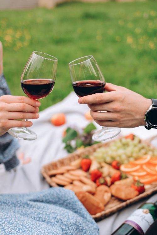 Free Couple enjoying a romantic picnic with red wine in a scenic outdoor setting. Stock Photo
