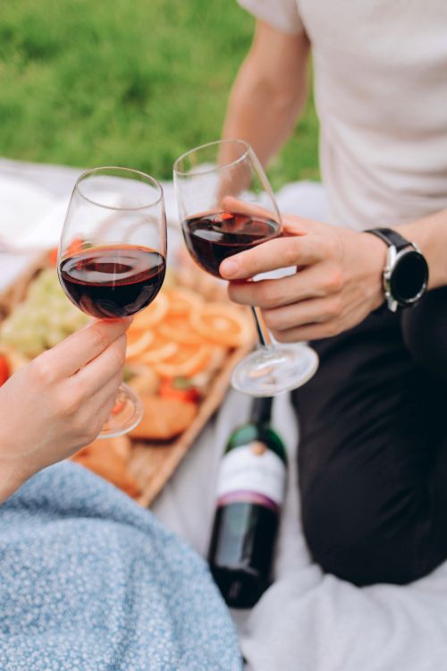 Free A close-up of hands toasting red wine at an outdoor picnic with a food platter. Stock Photo