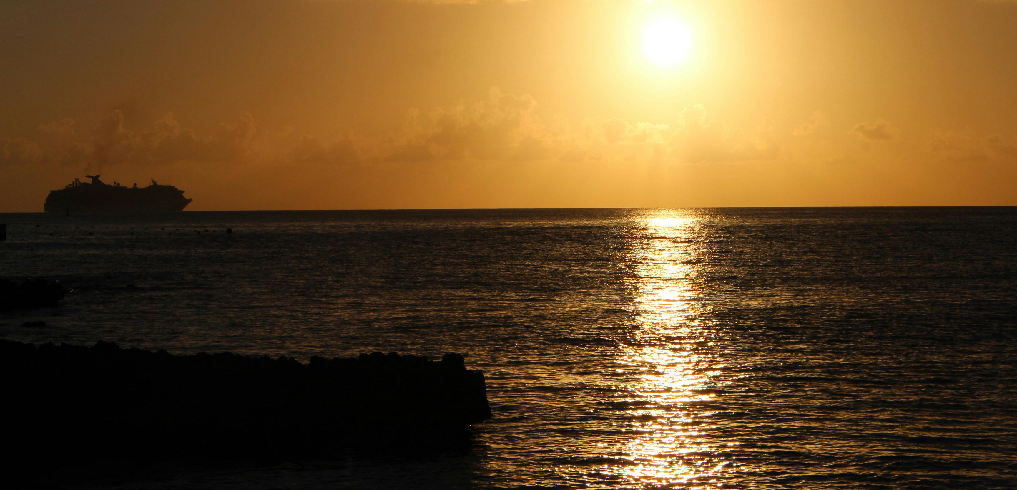Free stock photo of day of the dead, flower, flowers