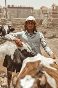 A farmer with cows in Cairo, showcasing traditional rural life amidst urban backdrop.