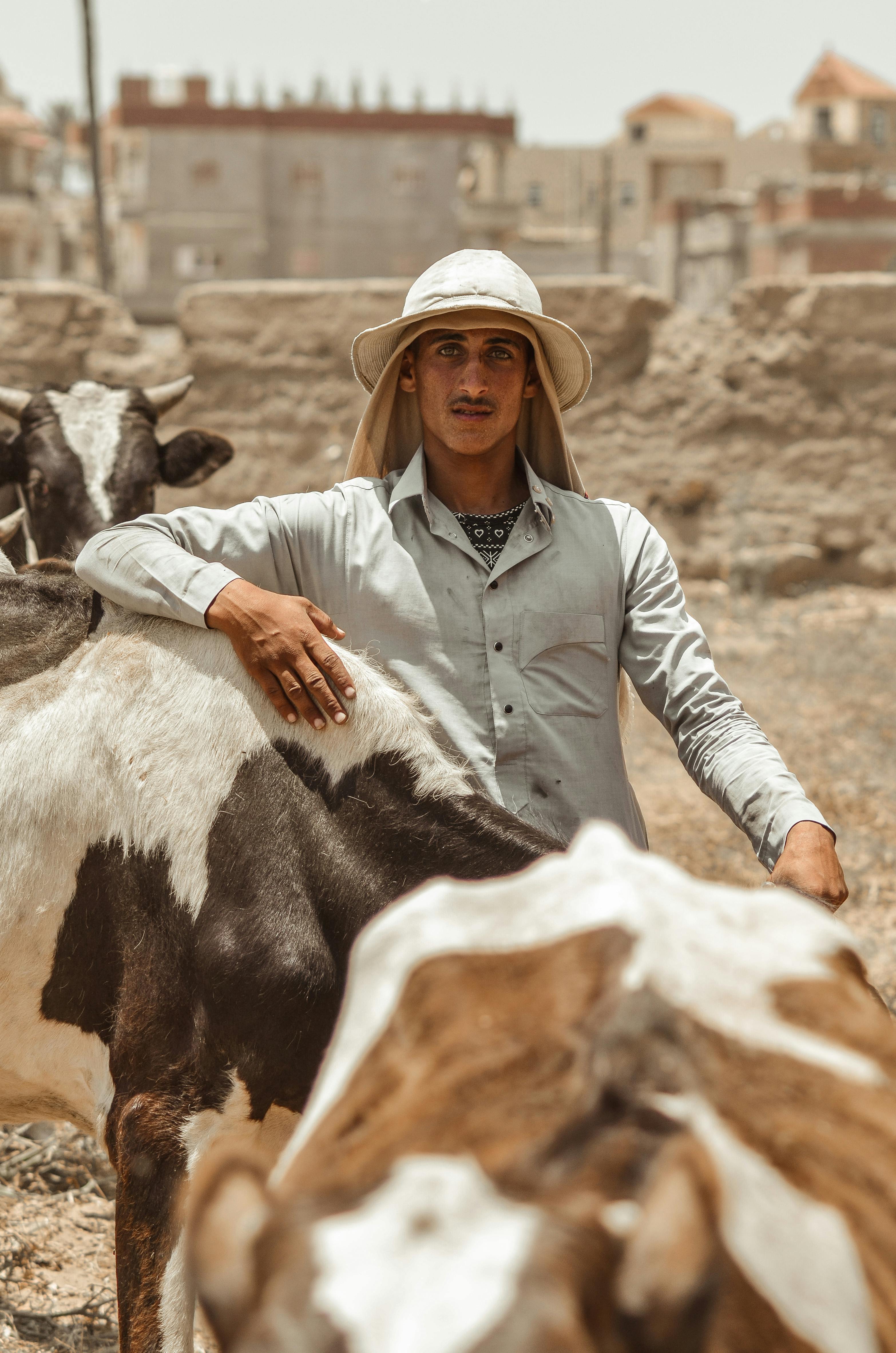 free-photo-of-cattle-farmer-in-cairo-wit