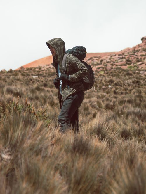 Free Hiker in wilderness landscape, wearing a hooded jacket, exploring rugged terrain. Stock Photo