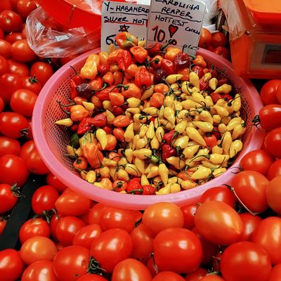 Basket of chillies over ripe tomatoes at a produce stall, photo by Zahrah Nandoo on Pexels