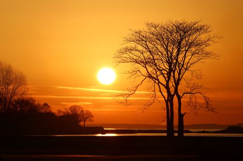 Free Captivating sunrise at Cove Island Park, Stamford, showcasing vibrant fall colors and serene landscape. Stock Photo