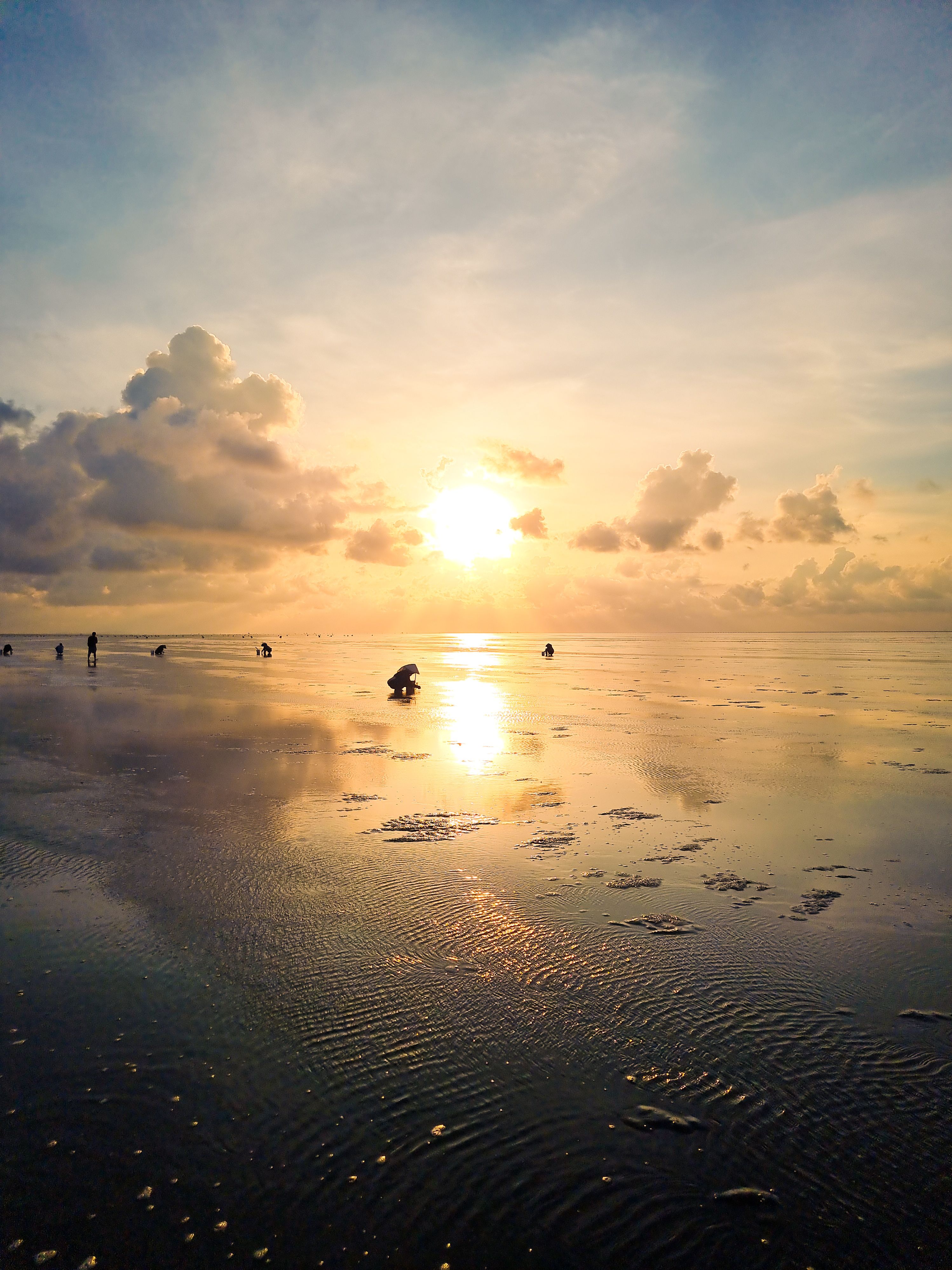 Serene Beach Sunset with Reflections · Free Stock Photo