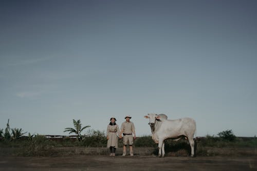 Um Casal Posando Ao Lado De Uma Vaca