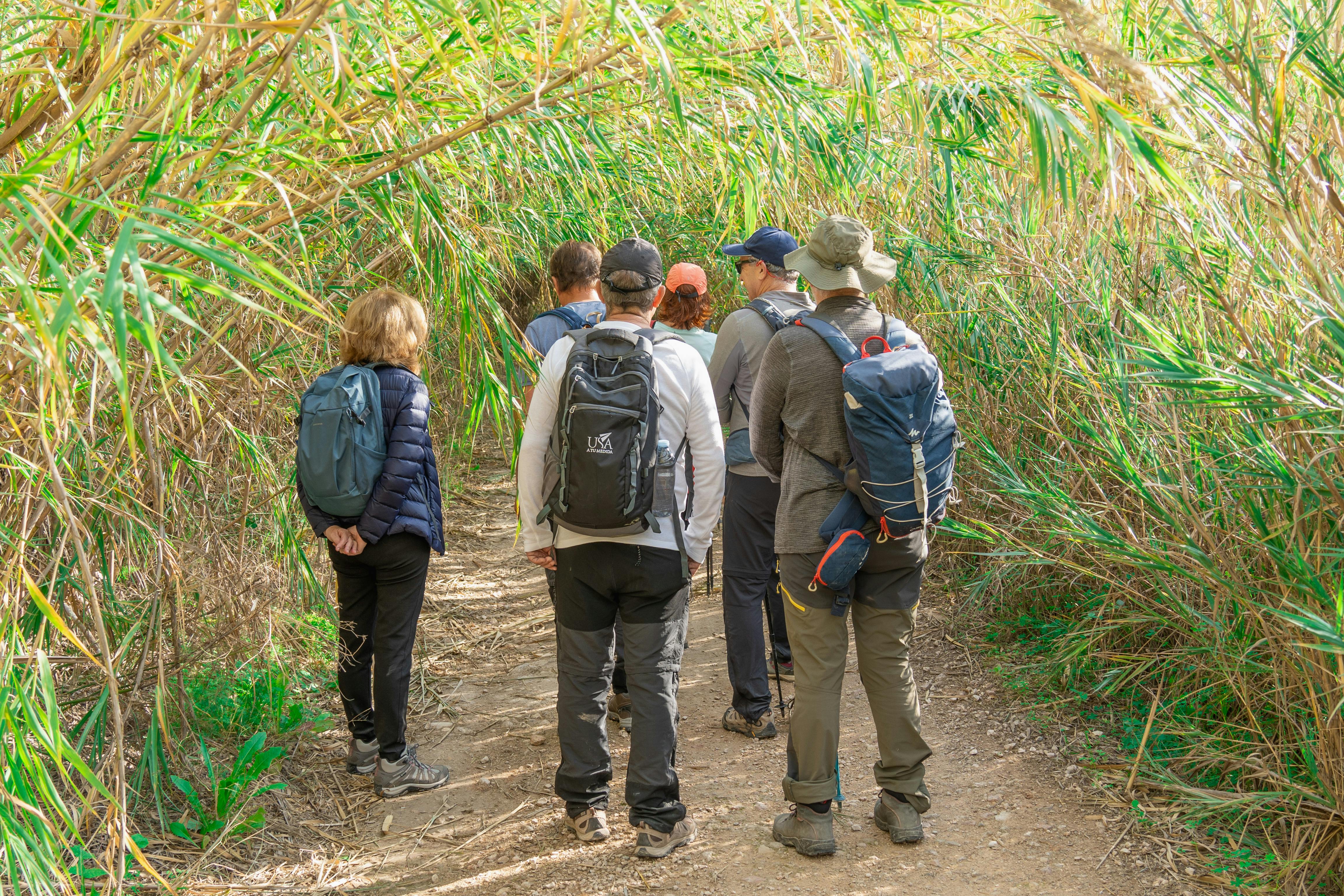 small group hiking together in a scenic park - meet the solo travel community