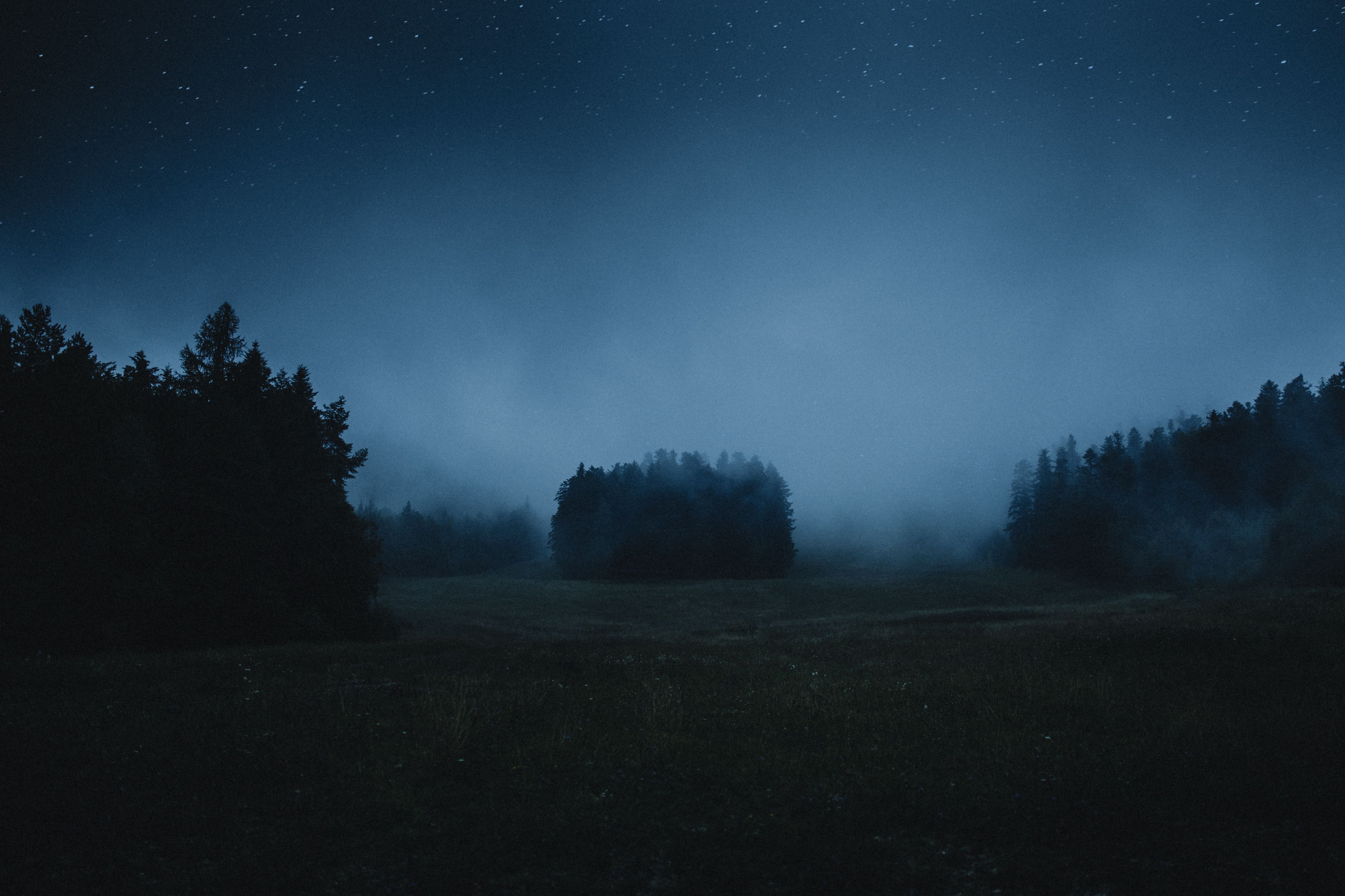 Misty Nighttime Forest Under a Starry Sky in Slovakia · Free Stock Photo