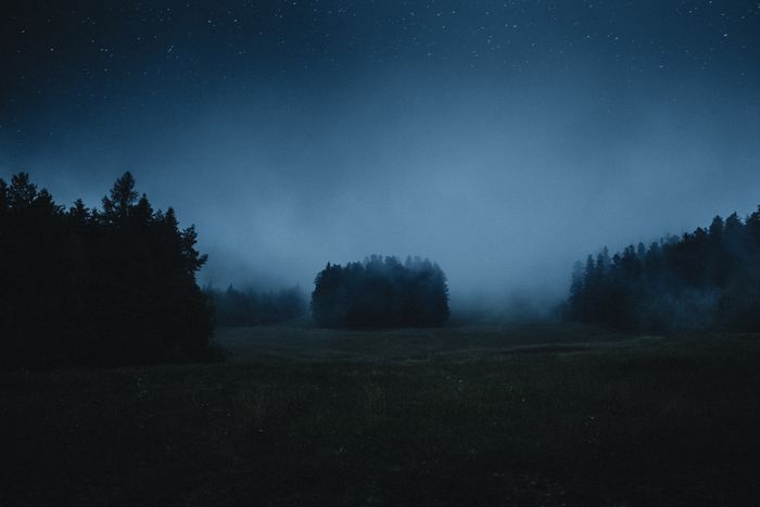 Video message still: misty forest at night, photo by Filip Kvasnak on Pexels