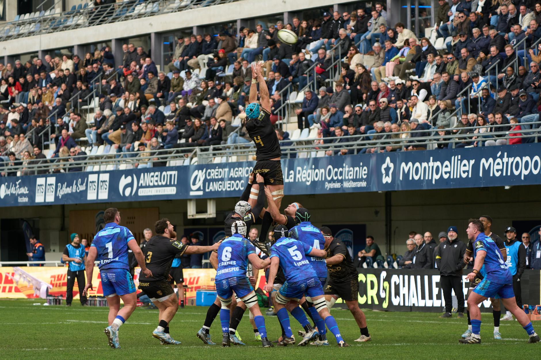 rugby league world cup