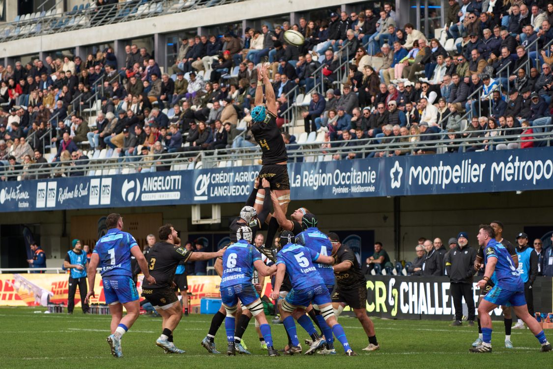 La Foule En Liesse Lors D'un Match De Rugby à Montpellier · Photo gratuite