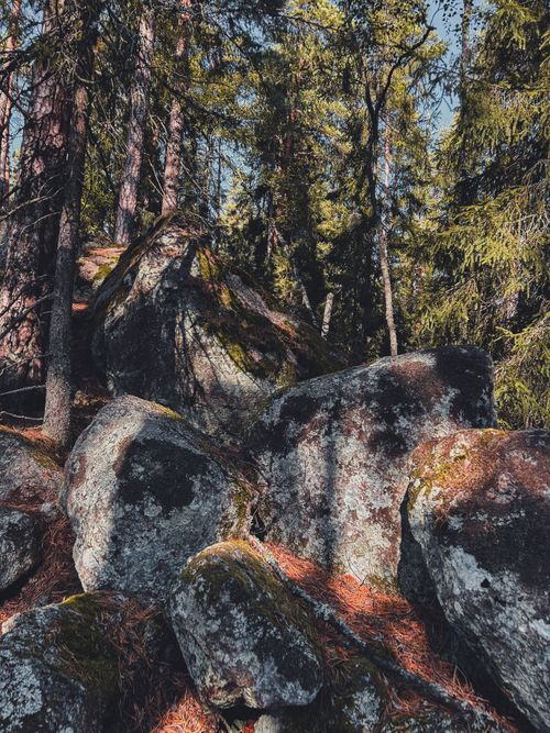 Free Tranquil forest scene with sun-dappled boulders surrounded by trees. Stock Photo
