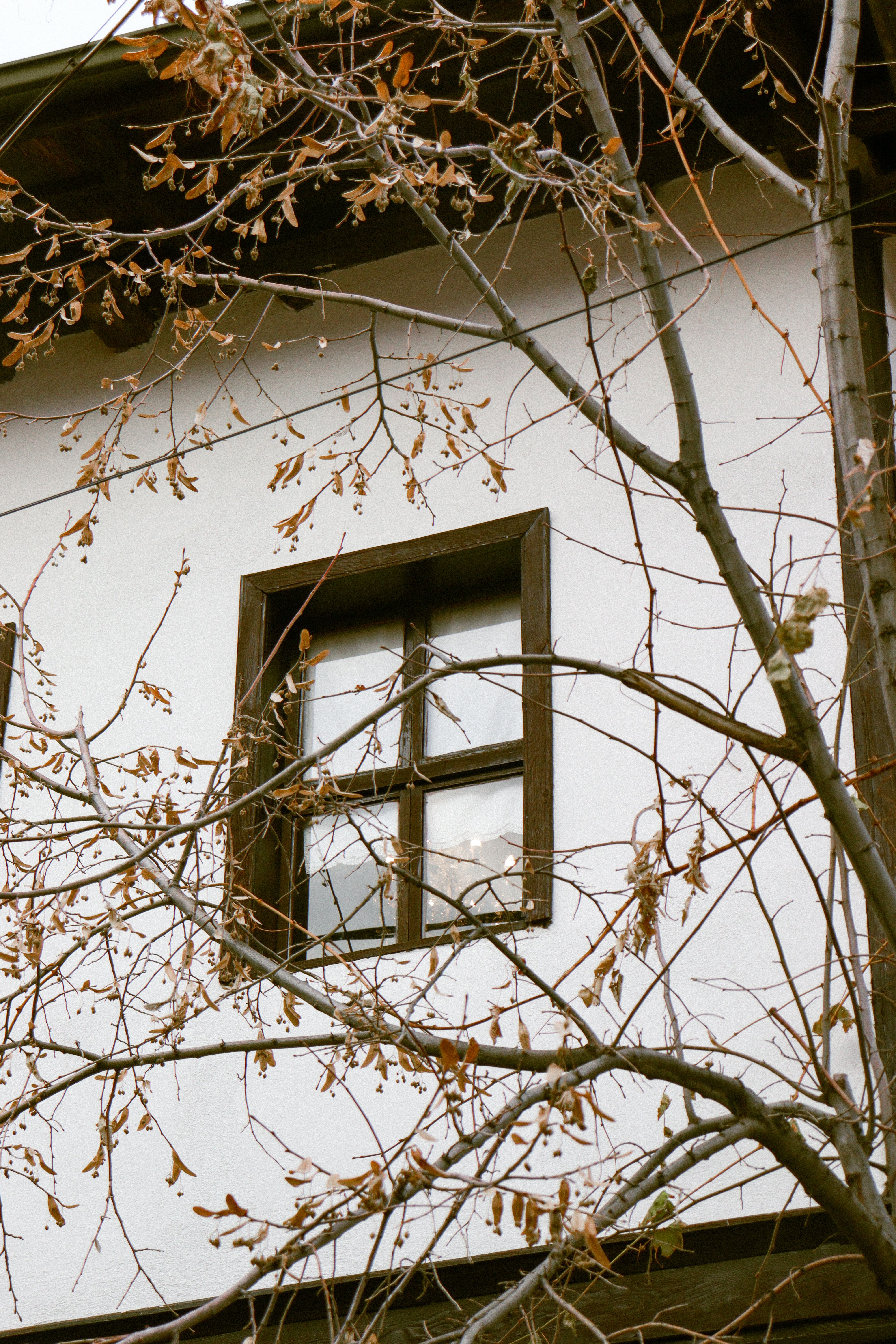 Traditional House Window with Autumn Branches · Free Stock Photo