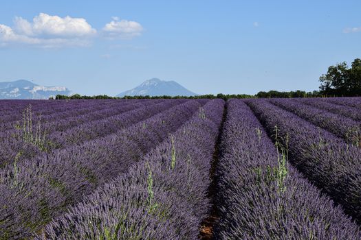 Gordes and Roussillon ochre villages — Provence