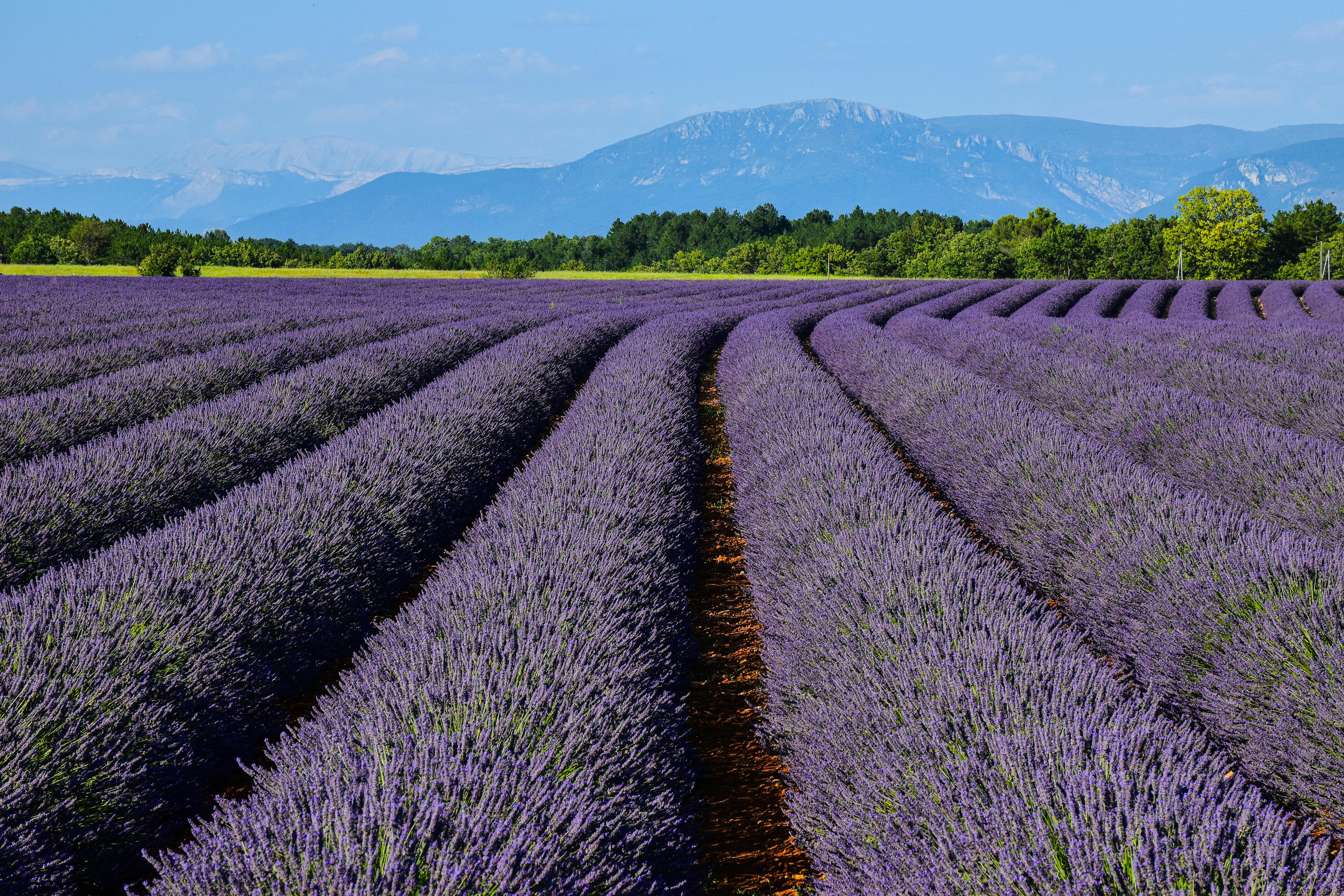15 Family-Friendly Activities in Provence