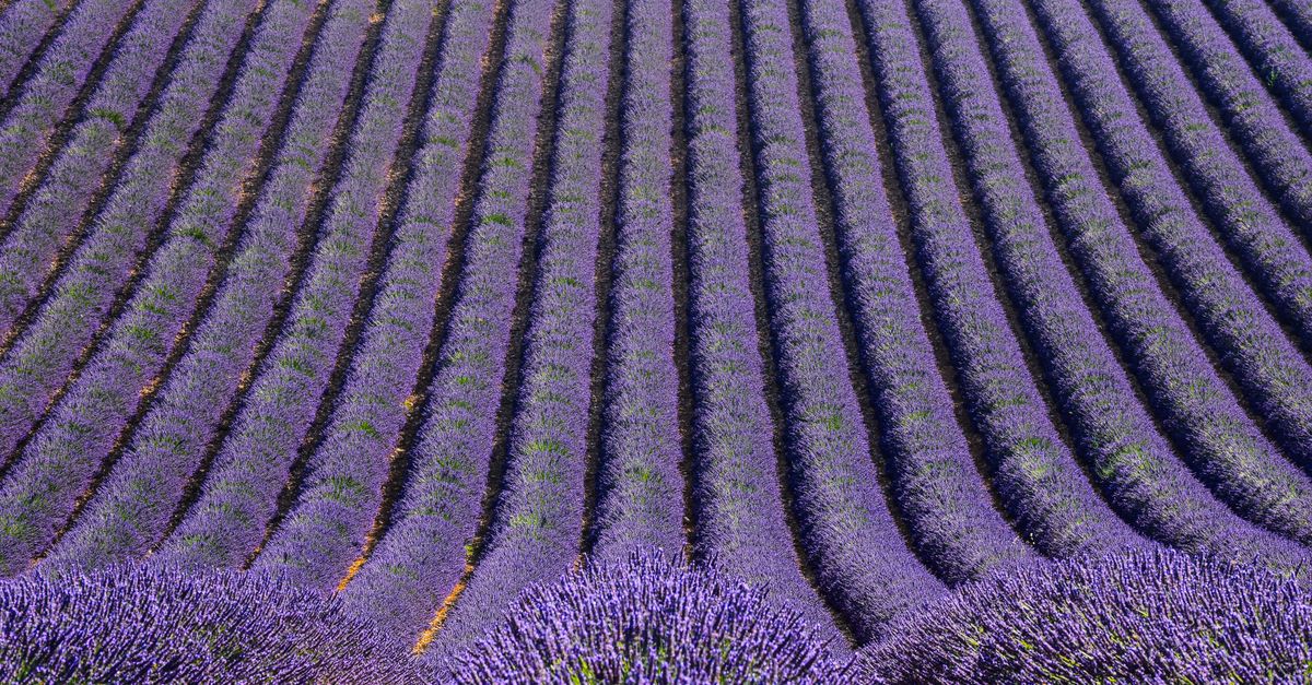 Les Meilleures Destinations à Explorer pour Vos Vacances