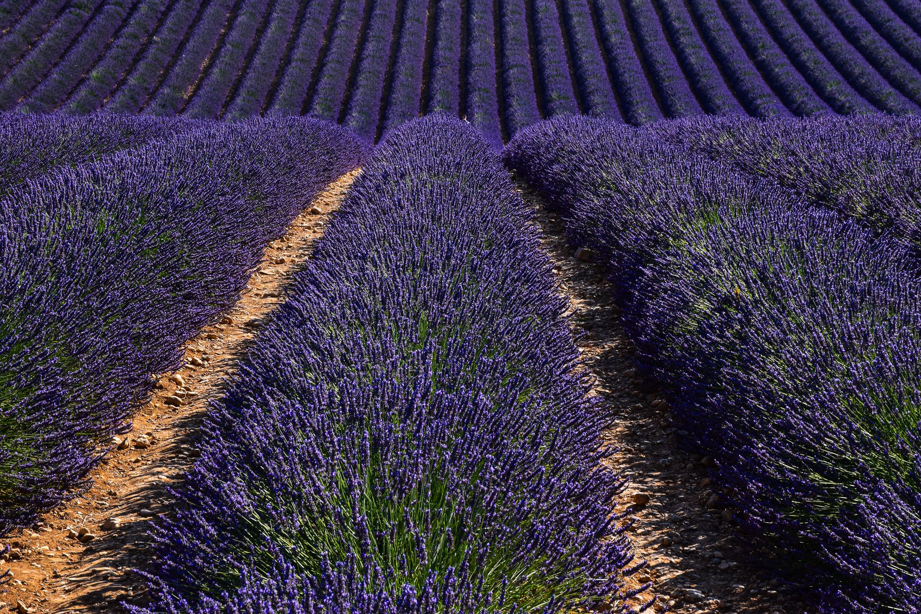 Provence, France