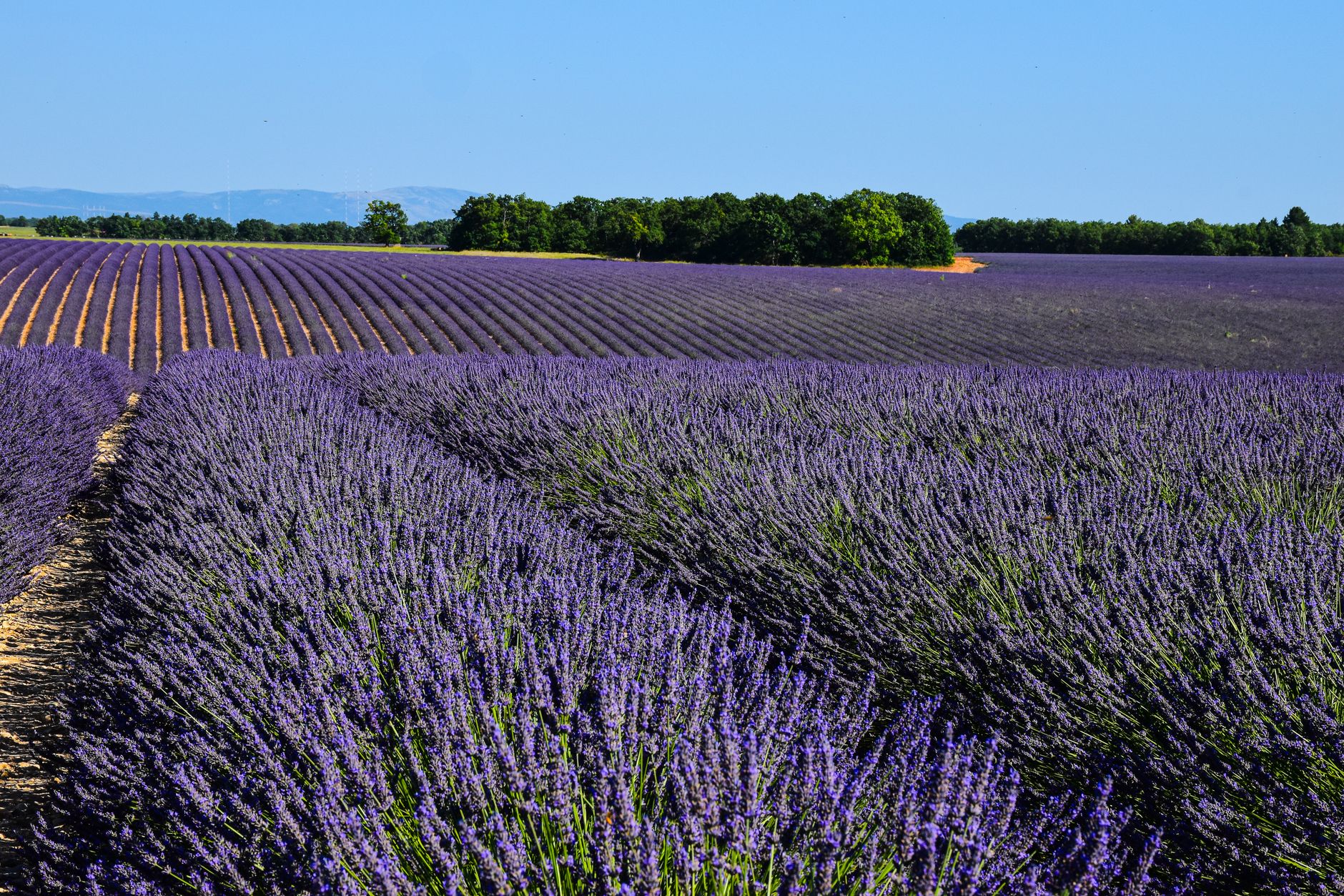 Provence, France