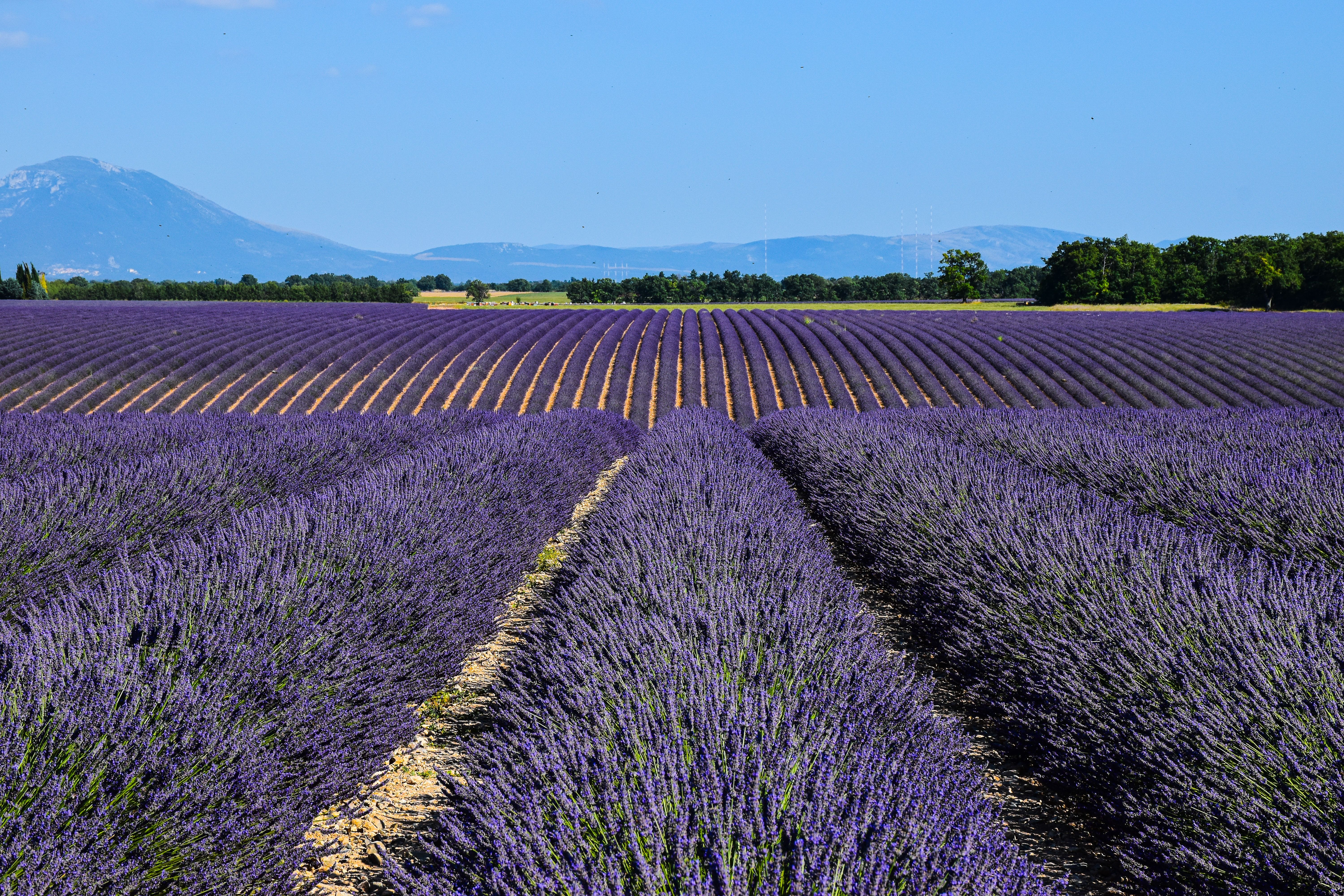 Paysage de Provence pour tournage cinéma en extérieur
