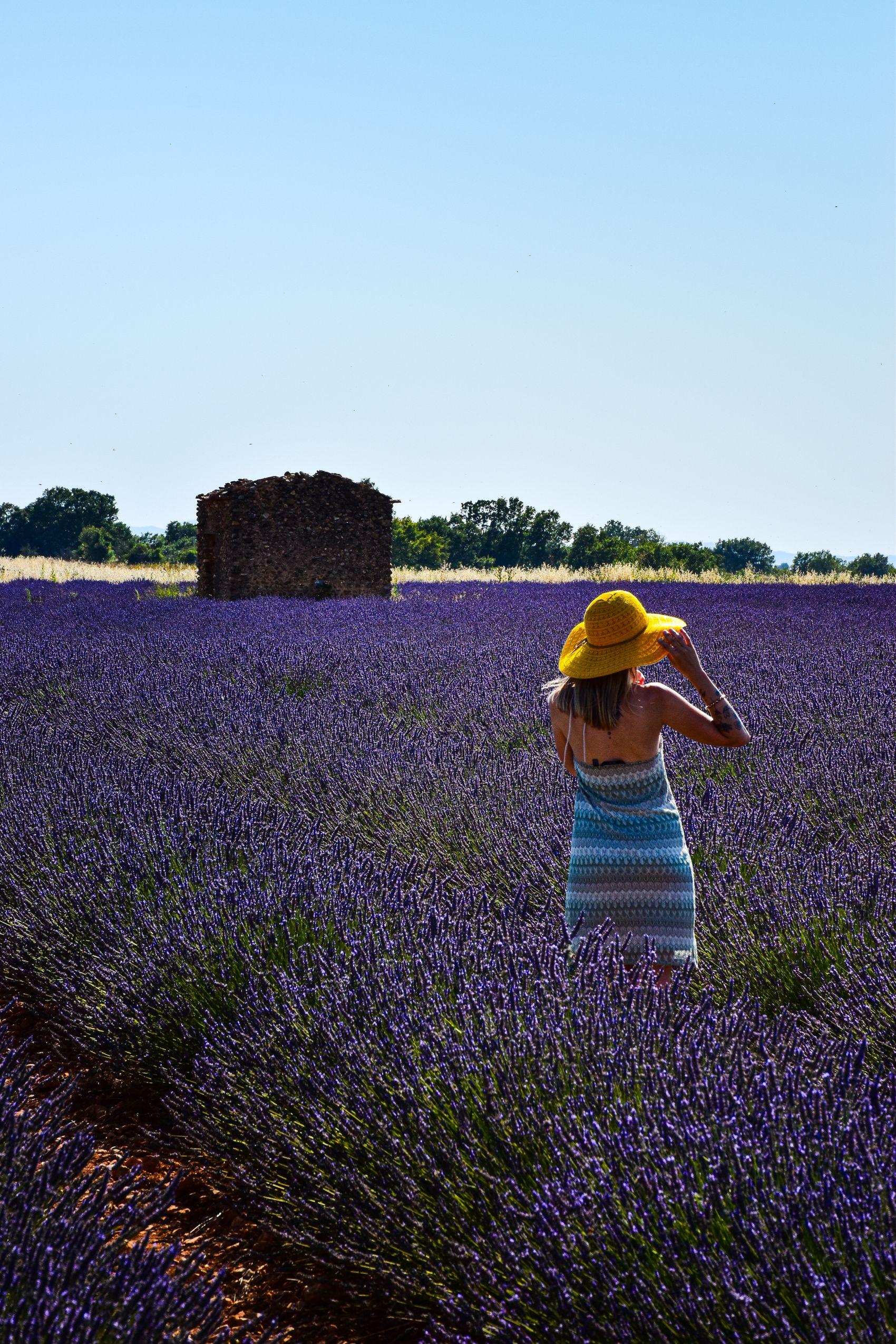 Femme dans les lavandes dans une ambiance shooting Provence