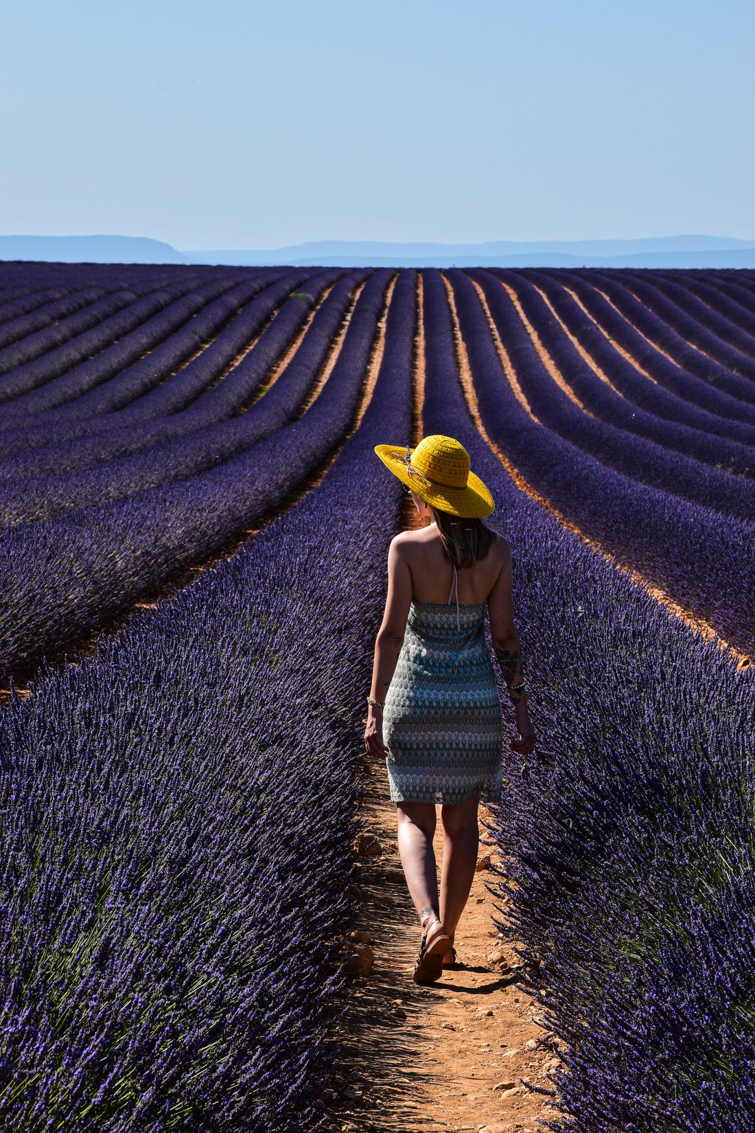 Femme marchant dans un champ de lavande