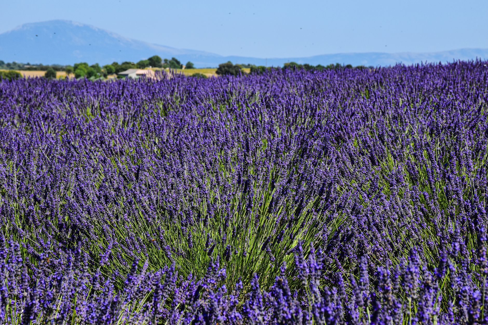 Provence, France
