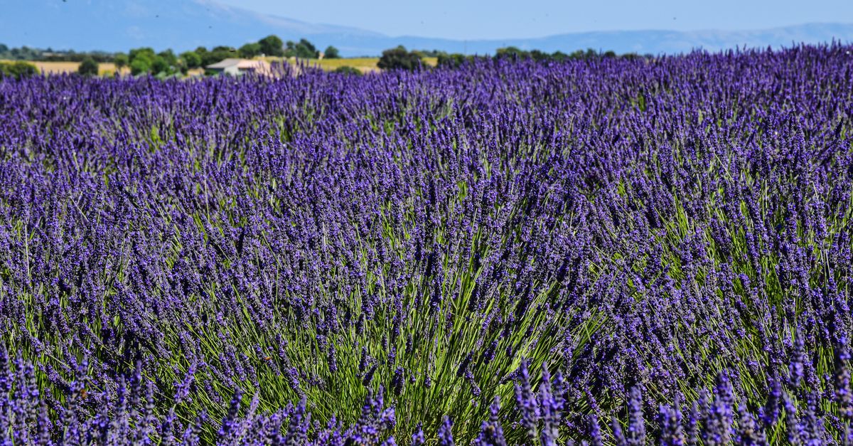 Explorez les Meilleures Destinations de Vacances en France