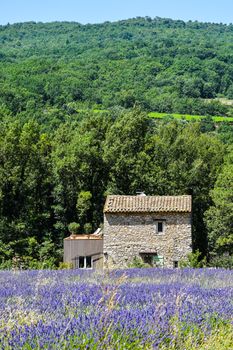 Location de villa dans le Luberon : notre guide complet