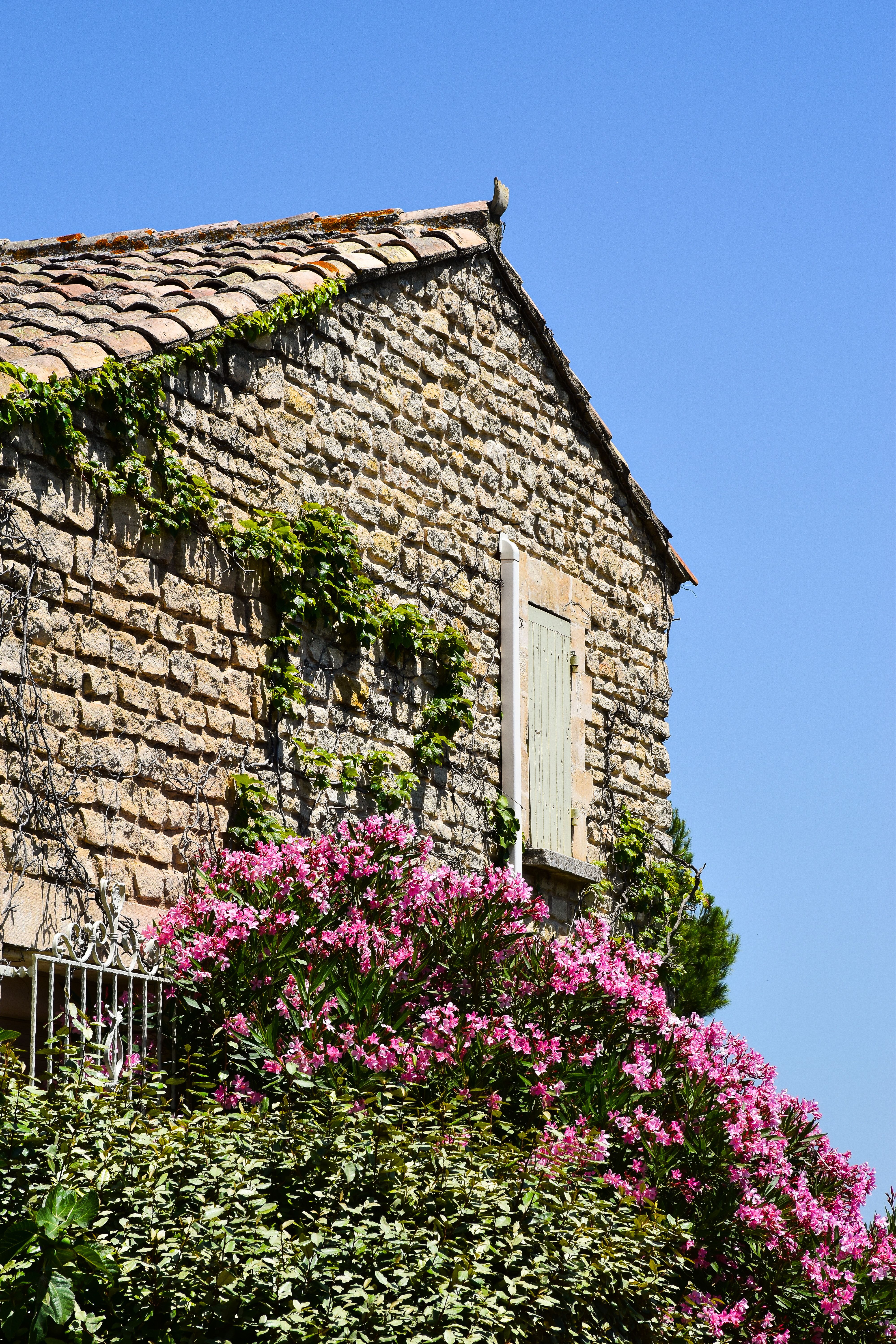 Charming Stone House in Provence With Blooming Flowers · Free Stock Photo