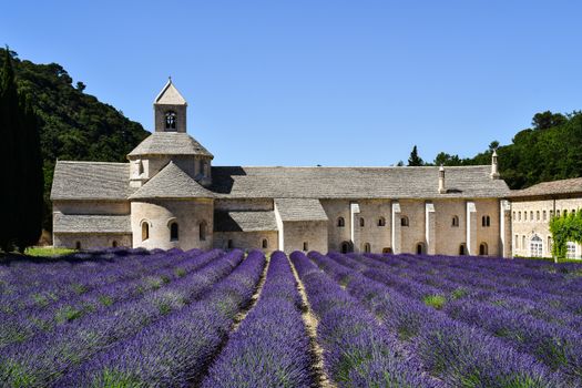 Wine tasting in Châteauneuf-du-Pape — Provence