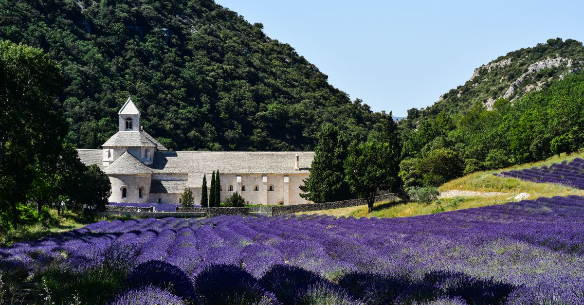 Top 10 des Activités à Ne Pas Manquer lors de Vos Vacances en France